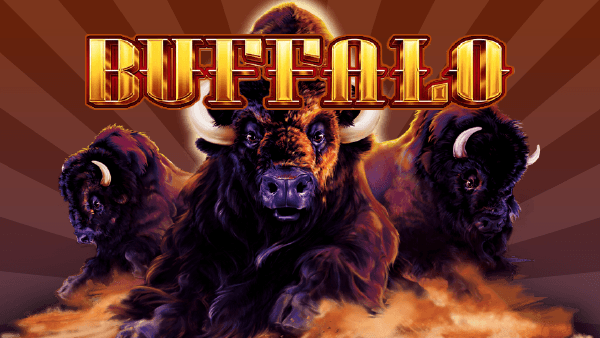 Buffalo Legends